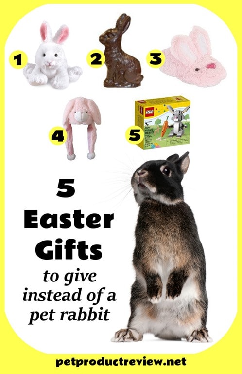 5 Gift Ideas To Give Instead Of A Pet Rabbit For Easter