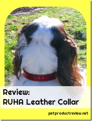 RUHA leather collar- Looking for a stylish leather collar for your dog? The RUHA collar is one you should look at. See what we thought of it in our review.