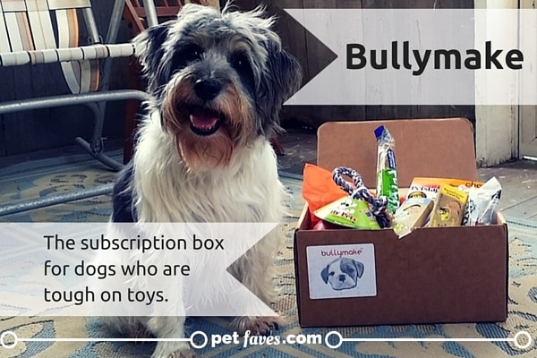 Bullymake Box: The subscription box for dogs who are tough on toys.