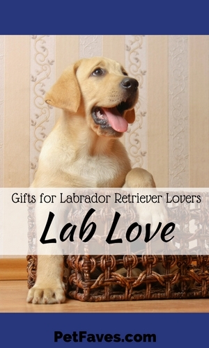 Labs are popular so you can find Lab stuff everywhere, but you have to look for the unique Lab items. Here are a few that would be great to add to your Labrador Retriever collection or get as a gift for your favorite Lab lover.