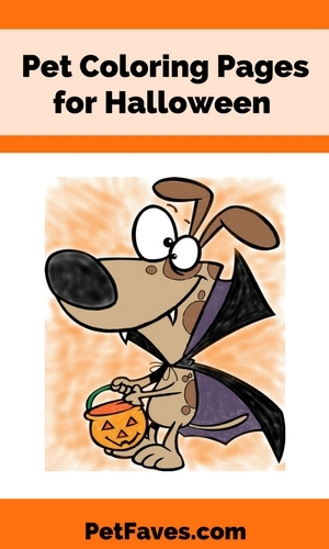 Looking for something to keep your kids busy until Trick or Treat time? How about some pet coloring pages for Halloween.