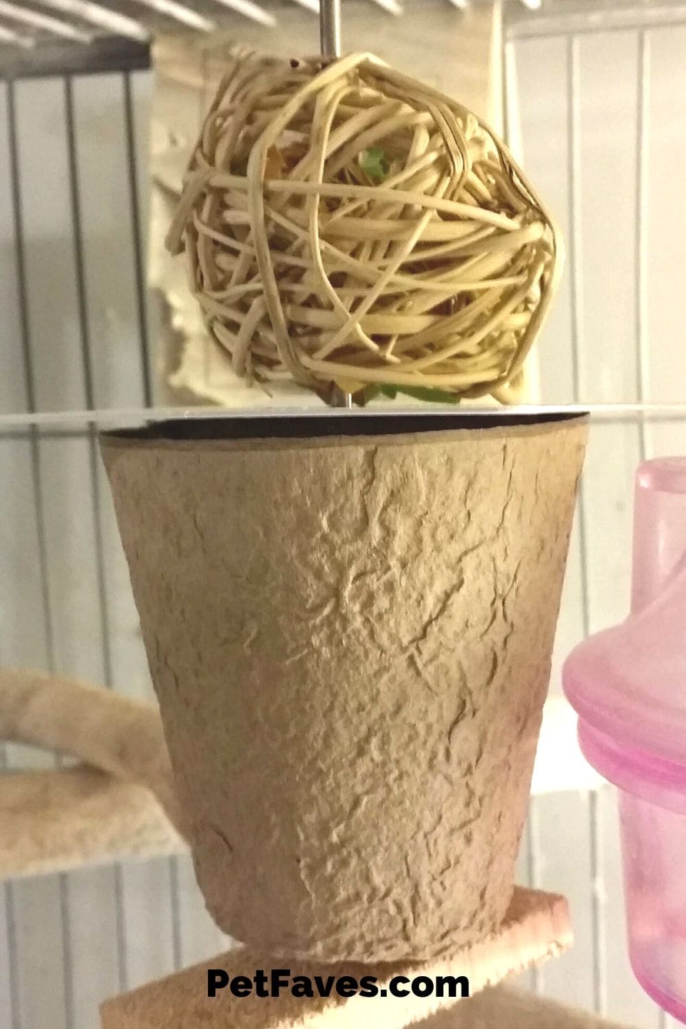 Image showcasing Homemade Bird Toy Ideas